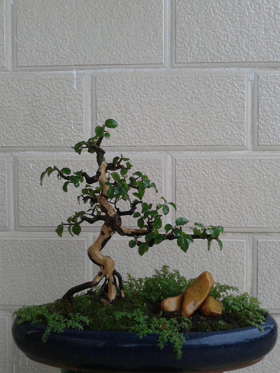 20140426_112835.jpg