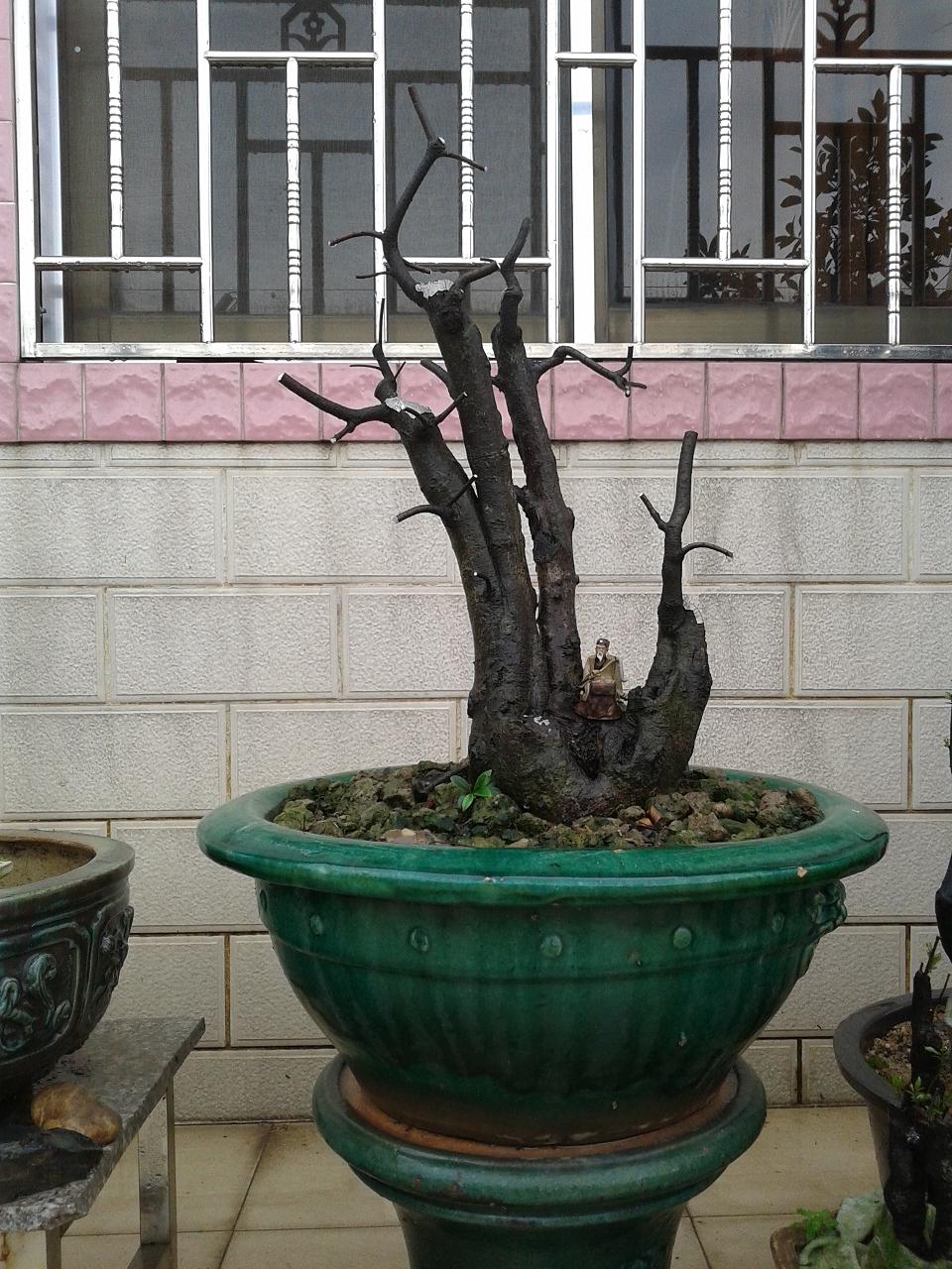 20140426_114157.jpg