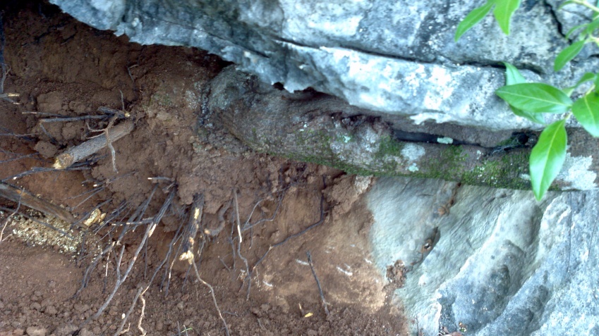 2014-04-29_10-27-59_327_conew1.jpg