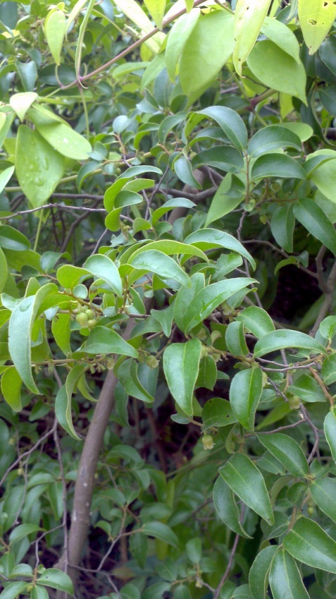 2014-04-29_12-50-20_902_conew1.jpg