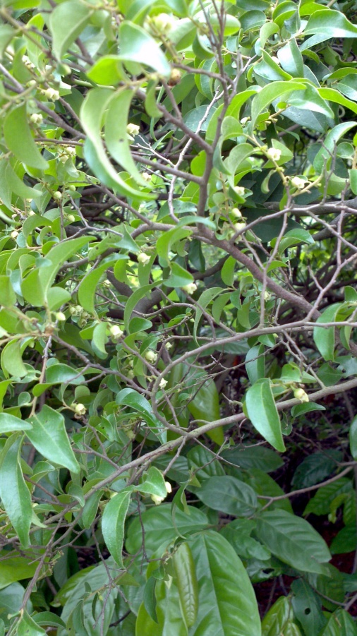 2014-04-29_12-50-35_265_conew2.jpg