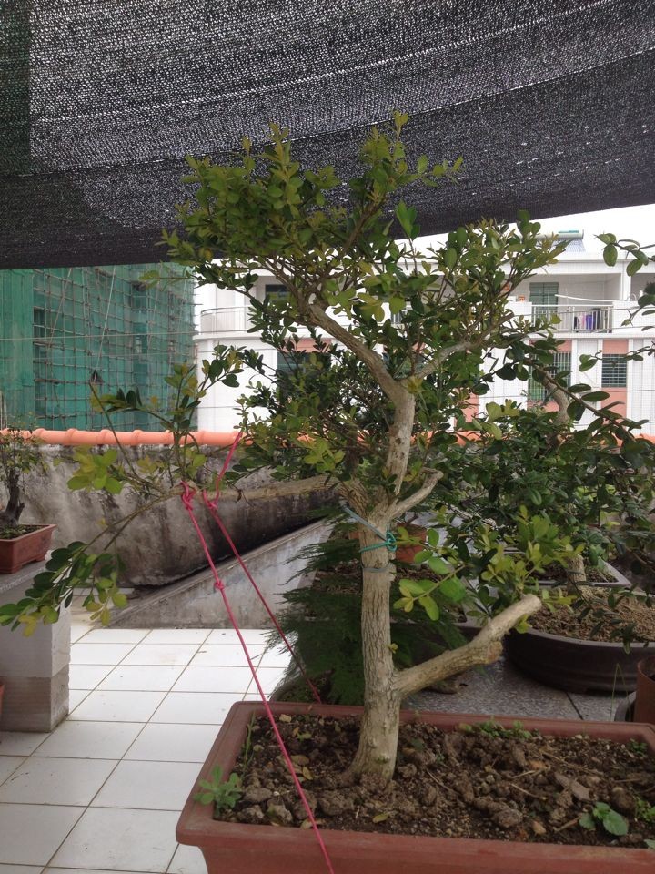 QQͼƬ20140430153343.jpg