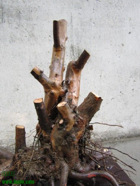 QQͼƬ20140430193815.jpg