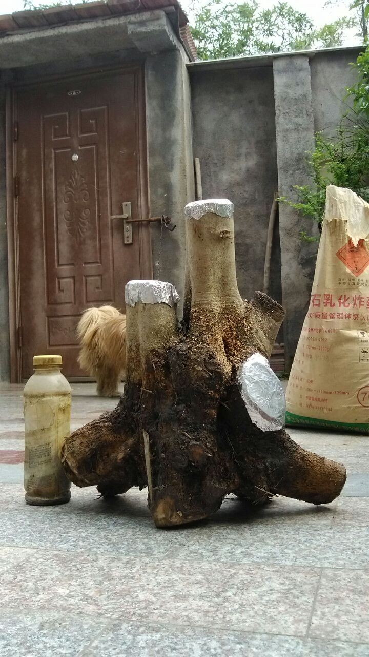 QQͼƬ20140430161637.jpg