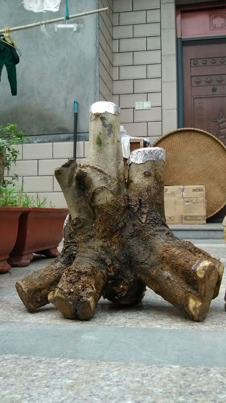 QQͼƬ20140430161646.jpg