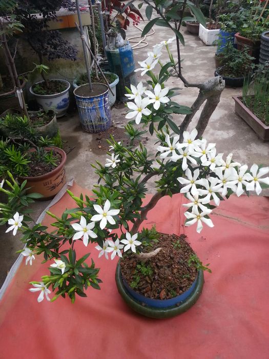 20140422_071428.jpg