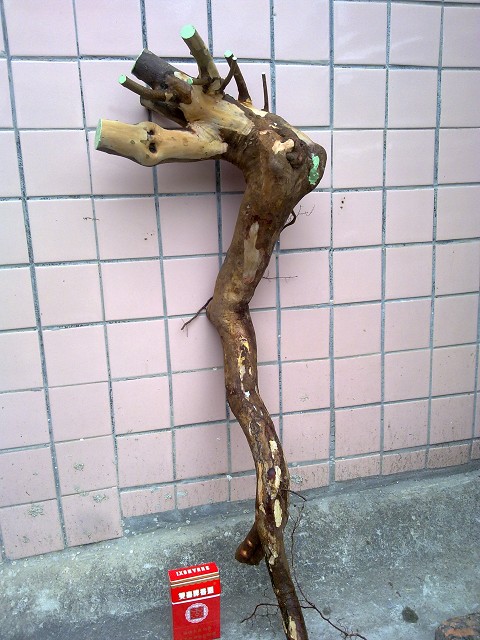 01095.jpg
