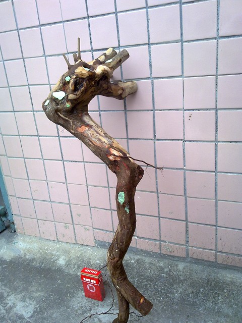 01096.jpg