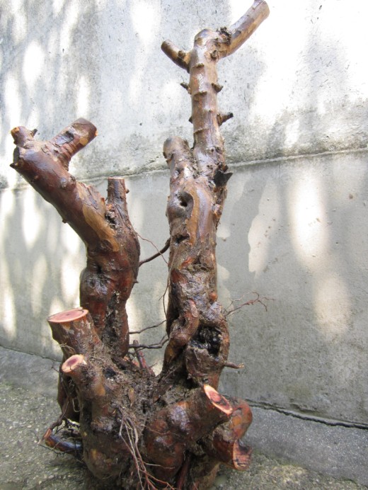 QQͼƬ20140501161505.jpg