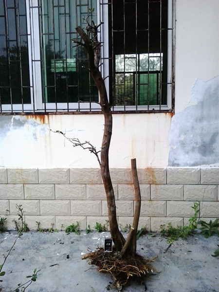 20140412_182711_.jpg
