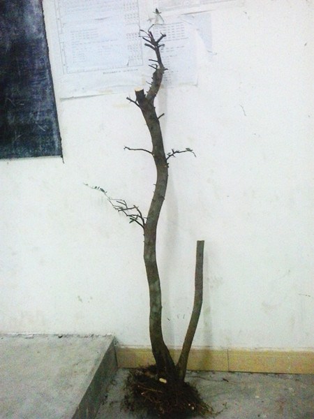 20140412_214716_.jpg