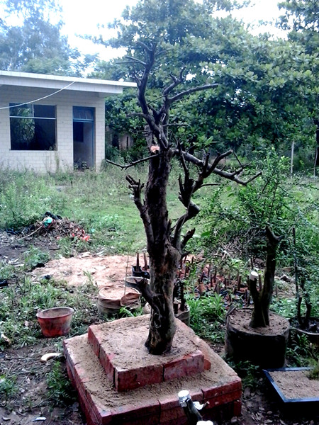 20140427_172702_.jpg