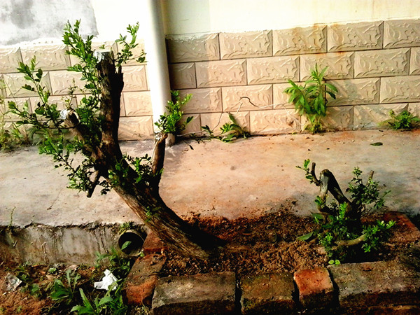 20140420_083028_.jpg