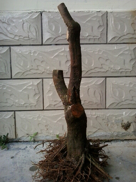 20131002_084426_.jpg