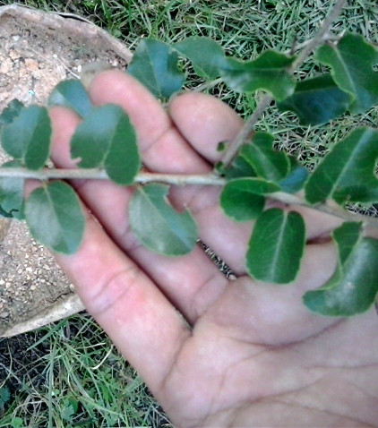 20131028_161041_.jpg