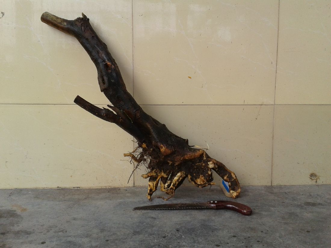 s1100_2014-04-12 15.59.25.jpg