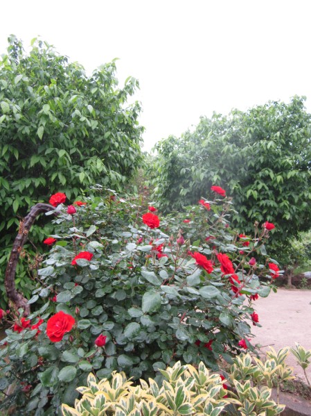 QQͼƬ20140504101220.jpg