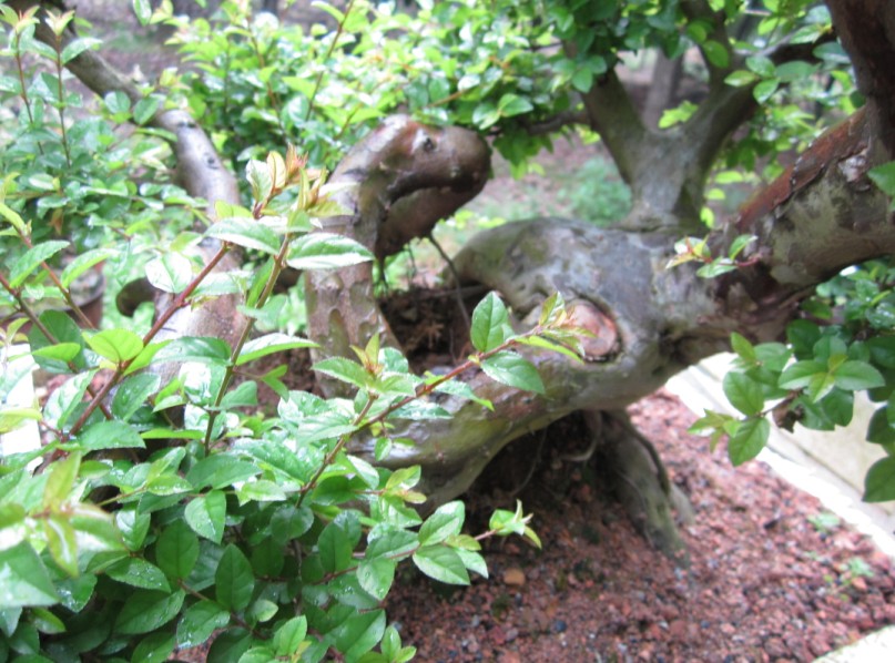 QQͼƬ20140504101202.jpg