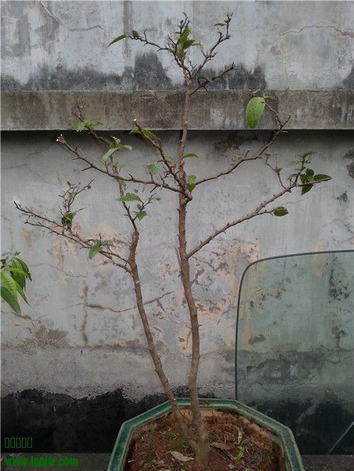 20140429_175148.jpg