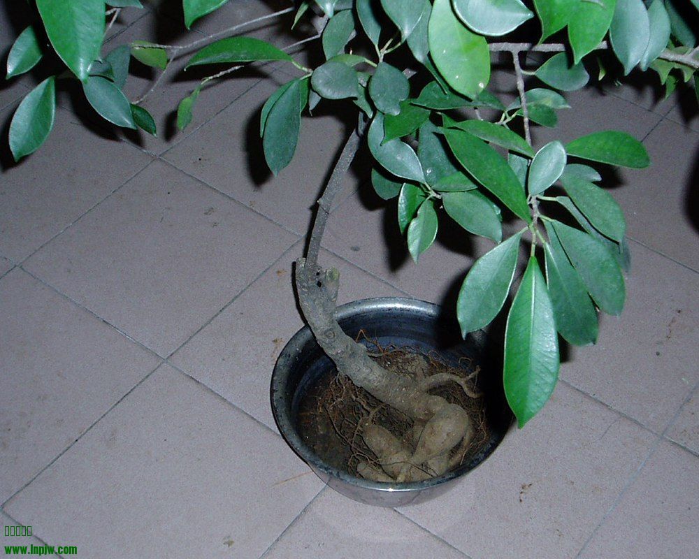 P1010001.JPG