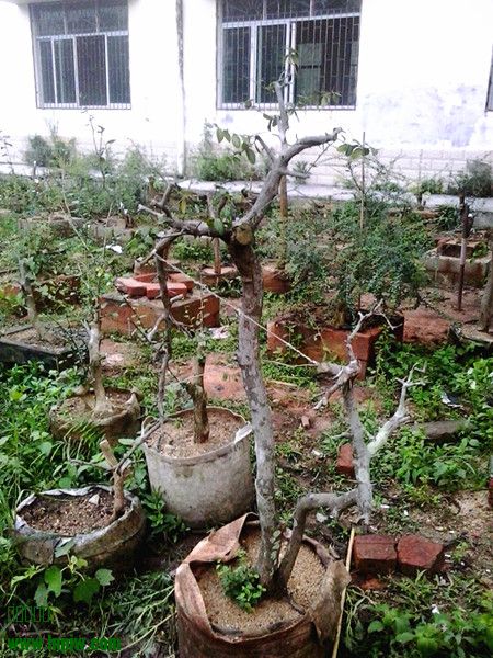 20140429_185358_.jpg