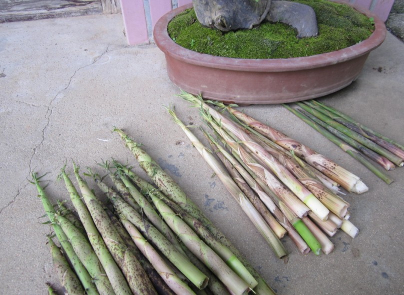 QQͼƬ20140507171940.jpg