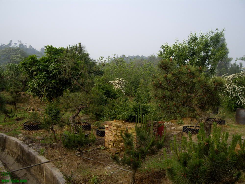 IMGP9734.JPG