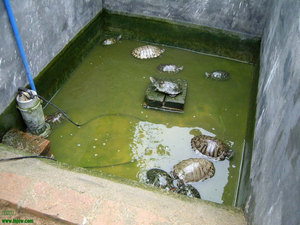 IMGP9798.JPG