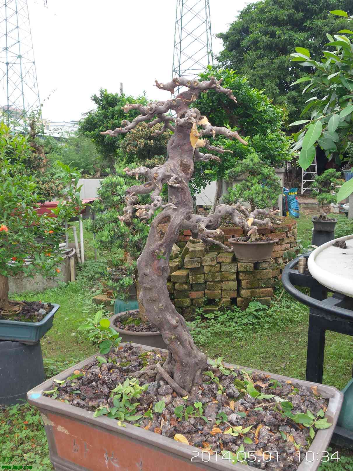 20140501_103432.jpg