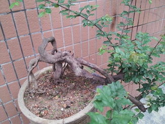 20140510_172019_.jpg