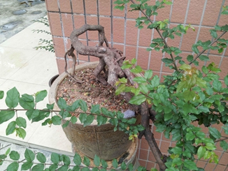 20140510_172024_.jpg