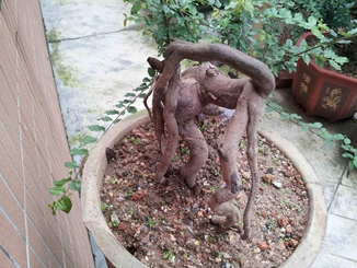 20140510_172034_.jpg