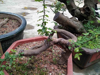20140510_172055_.jpg
