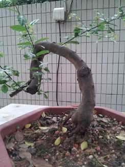 20140510_172329_.jpg