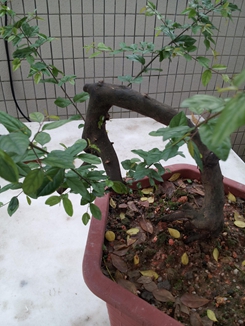 20140510_172342_.jpg