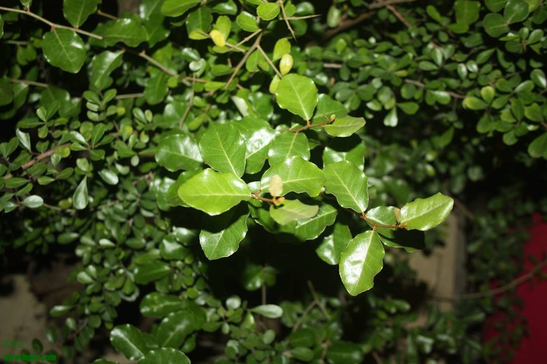 Ƭ20131026ۺ 1311.jpg