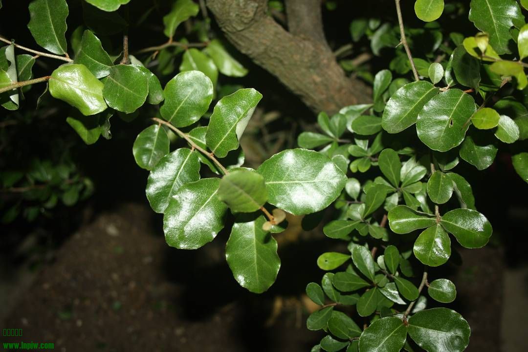 Ƭ20131026ۺ 1309.jpg