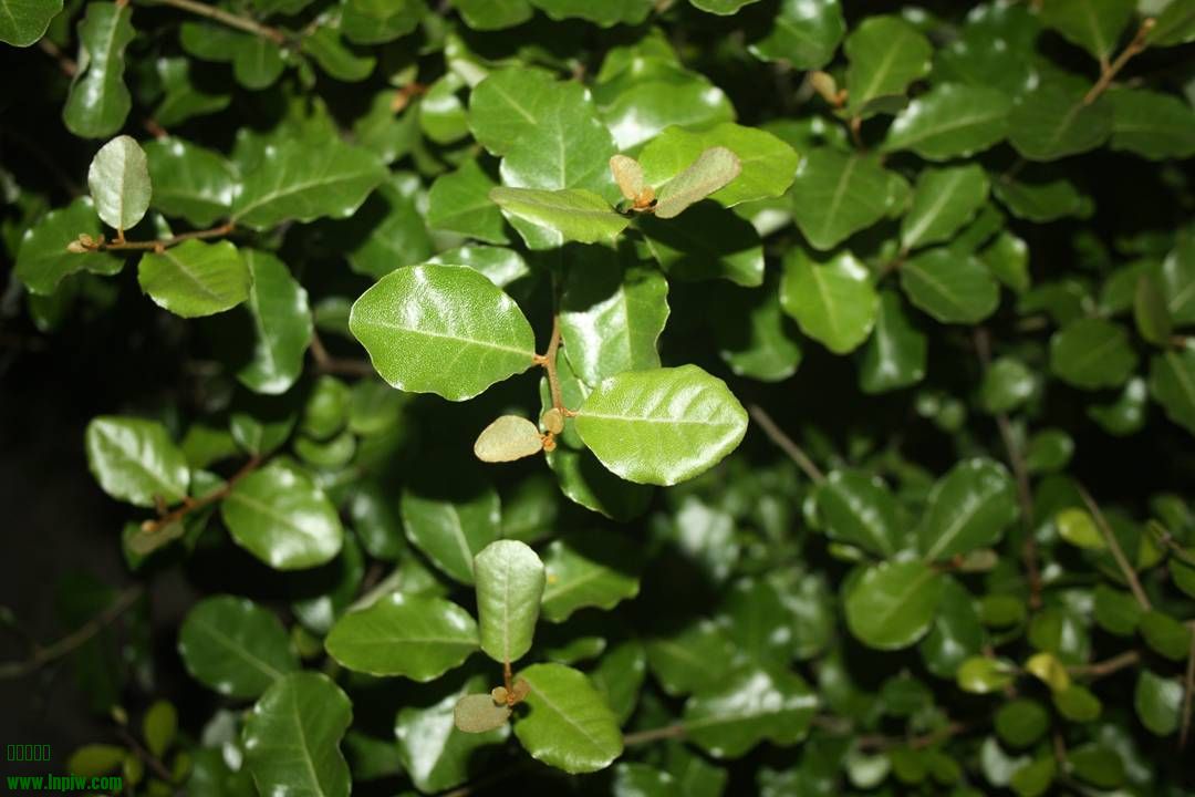 Ƭ20131026ۺ 1312.jpg