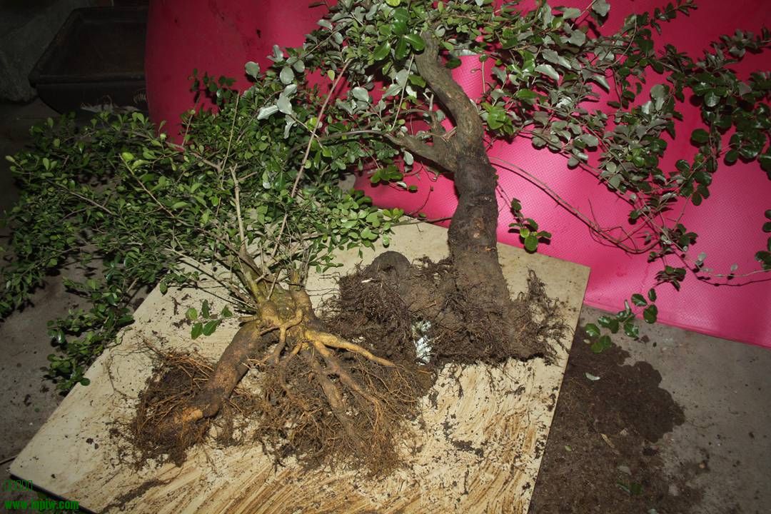 Ƭ20131026ۺ 1326.jpg
