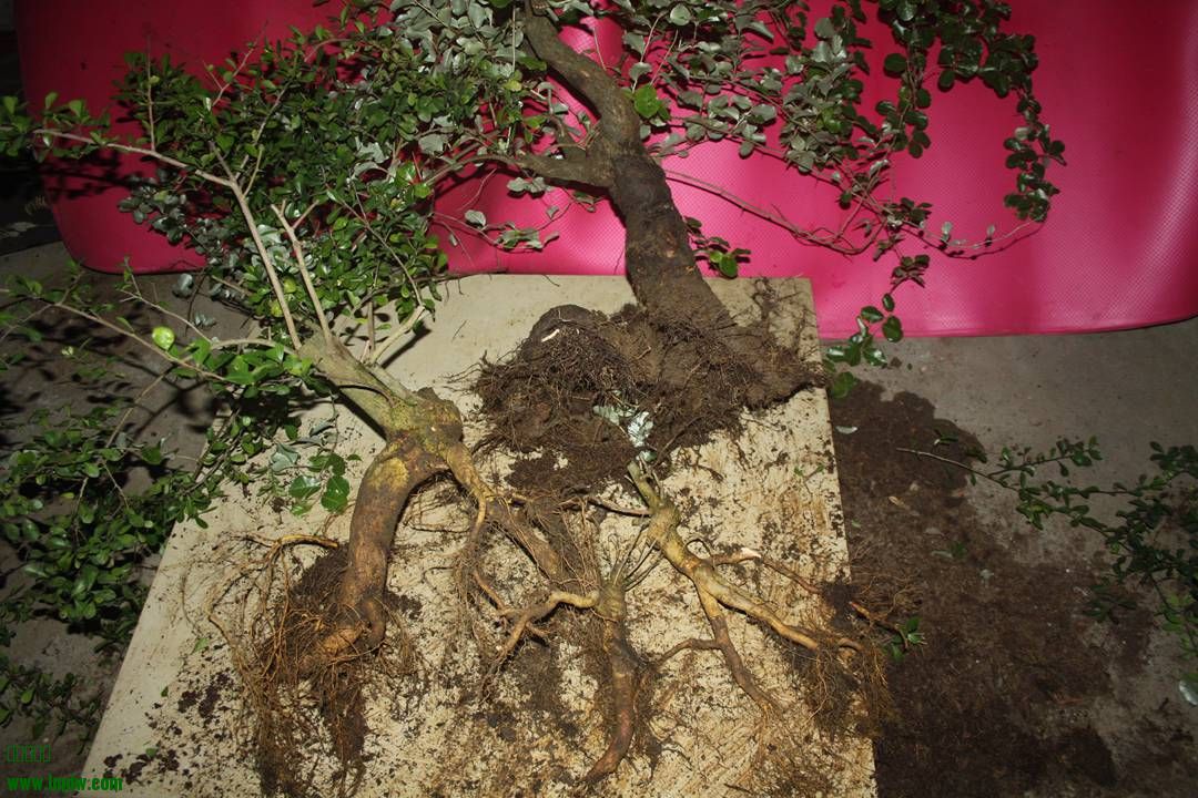 Ƭ20131026ۺ 1329.jpg