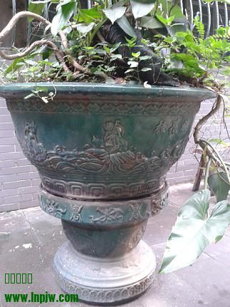 20140512_100516.jpg