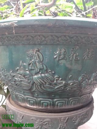 20140512_100556.jpg