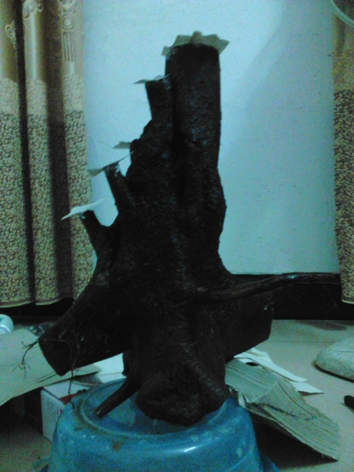 Camera_20110109_100527.jpg