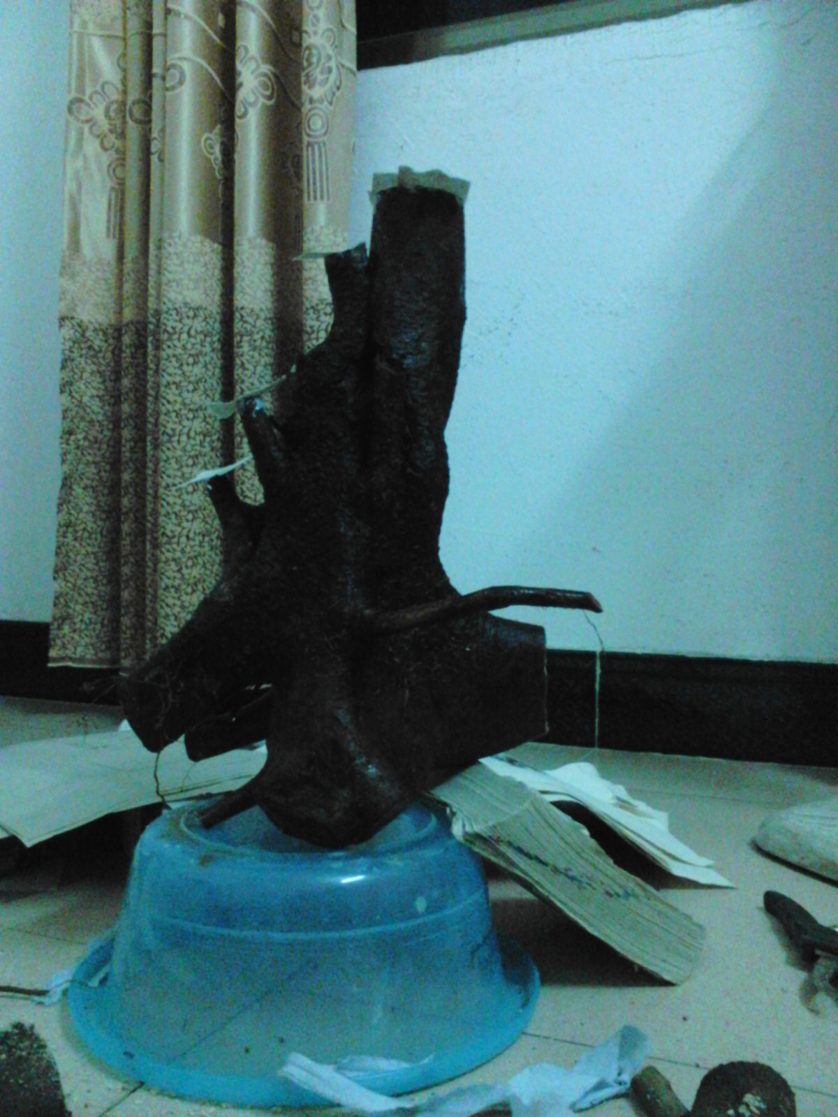 Camera_20110109_100538.jpg