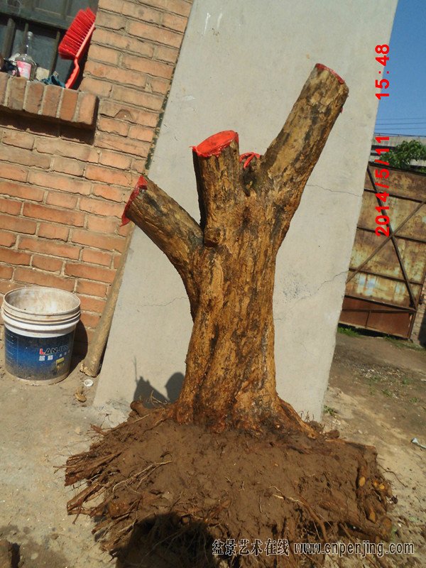 062952jmqjsbscggvbc92b.jpg