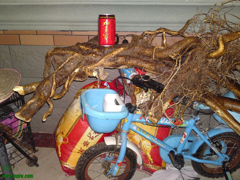 20130222275_.jpg