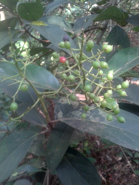 20140515_100126.jpg