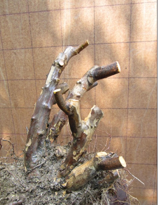 QQͼƬ20140515190745.jpg