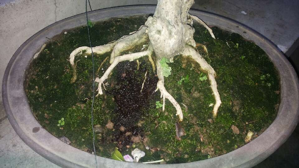 QQͼƬ20140516185051.jpg