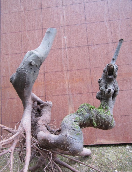 QQͼƬ20140516184947.jpg